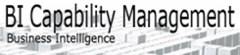 Bi Capability Management AB